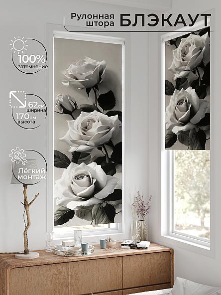 Рулонная штора для кухни для детской Лертонт - 644 - 62 см