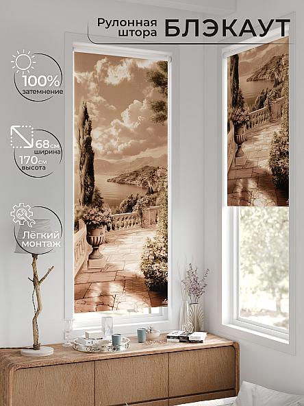 Рулонная штора для кухни для детской Рилварт - 626 - 68 см