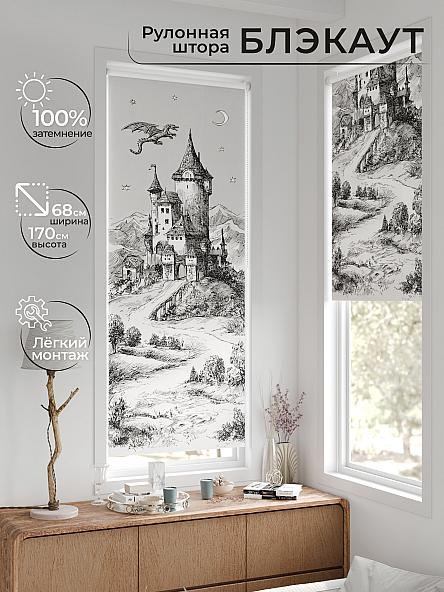 Рулонная штора для кухни для детской Рилварт - 646 - 68 см