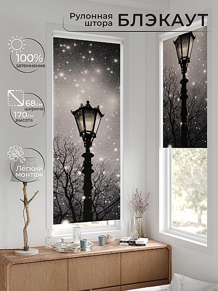 Рулонная штора для кухни для детской Рилварт - 655 - 68 см