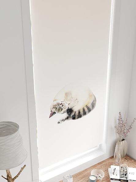 Рулонная штора для кухни для детской Фиреда - 211 - ширина 62 см - фото 4