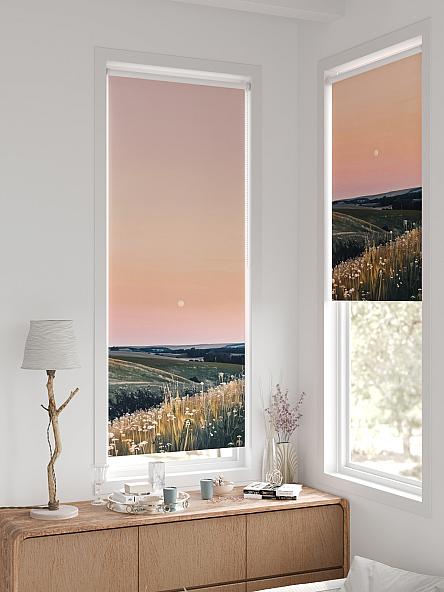 Рулонная штора для кухни для детской Фиреда - 225 - ширина 62 см