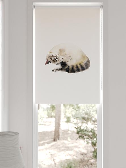 Рулонная штора для кухни для детской Легроса - 211 - ширина 68 см - фото 6