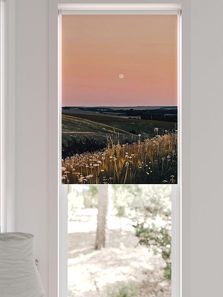 Рулонная штора для кухни для детской Легроса - 225 - ширина 68 см - фото 6