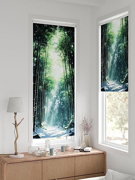 Рулонная штора для кухни для детской Легроса - 231 - ширина 68 см