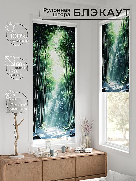 Рулонная штора для кухни для детской Легроса - 231 - ширина 68 см - фото 2