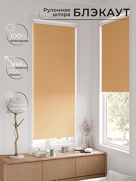 Рулонная штора для кухни для детской Легроса - 241 - ширина 68 см - фото 2