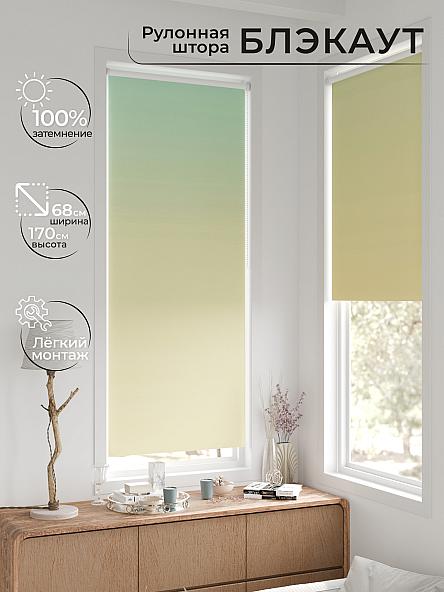 Рулонная штора для кухни для детской Легроса - 245 - ширина 68 см - фото 2