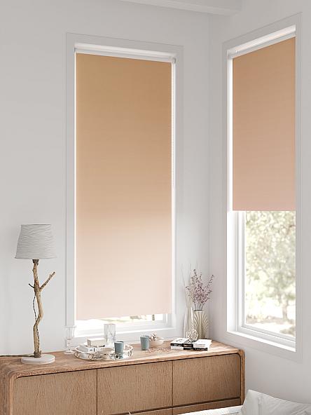 Рулонная штора для кухни для детской Легроса - 246 - ширина 68 см