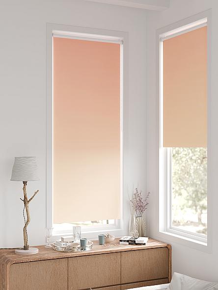 Рулонная штора для кухни для детской Легроса - 249 - ширина 68 см