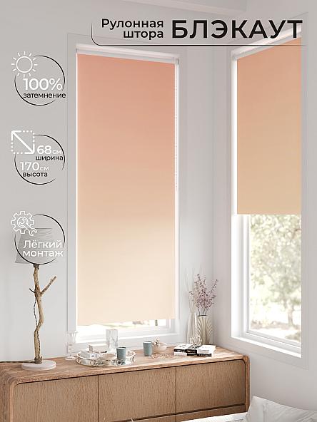 Рулонная штора для кухни для детской Легроса - 249 - ширина 68 см - фото 2