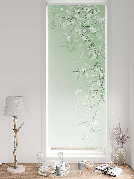 Рулонная штора для кухни для детской Фиреда - 261 - ширина 62 см - фото 3