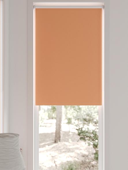 Рулонная штора для кухни для детской Фиреда - 289 - ширина 62 см - фото 6