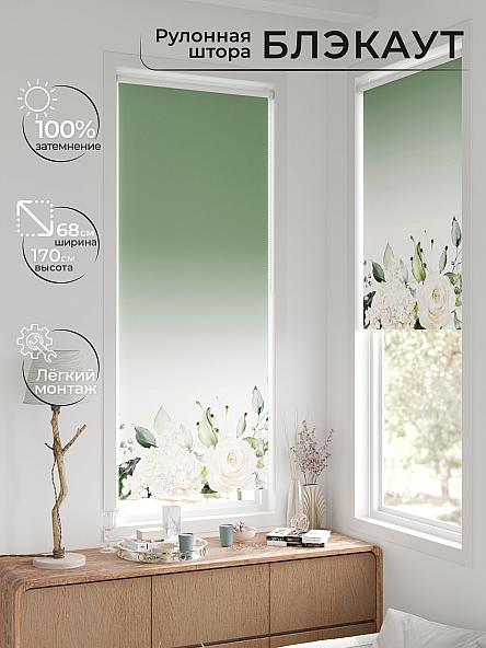 Рулонная штора для кухни для детской Легроса - 263 - ширина 68 см - фото 2