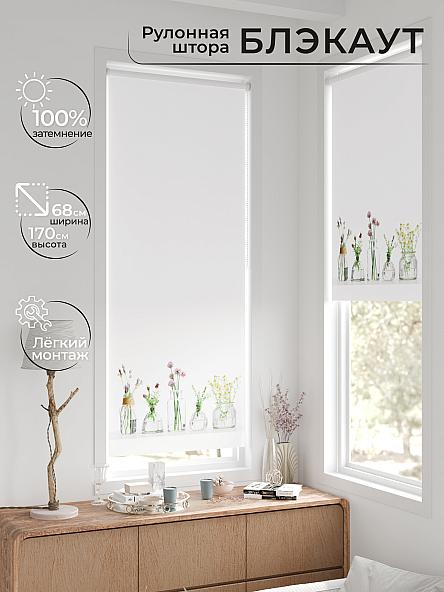 Рулонная штора для кухни для детской Легроса - 265 - ширина 68 см - фото 2