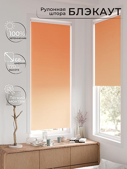 Рулонная штора для кухни для детской Легроса - 275 - ширина 68 см - фото 2