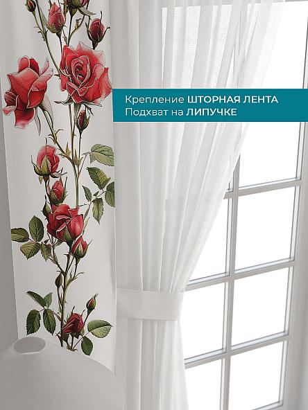 Тюль с декоративными подхватами Лабрист - 417 - фото 4