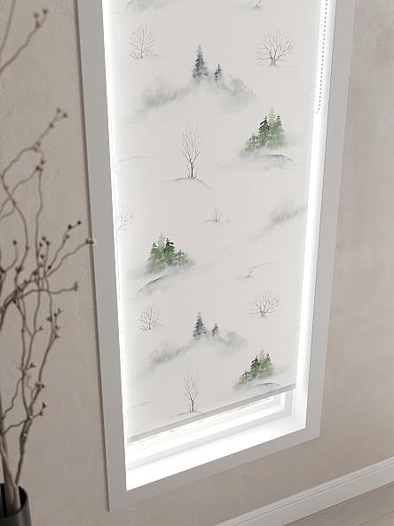 Рулонная штора Ранфрик - 07 - ширина 47 см - фото 4