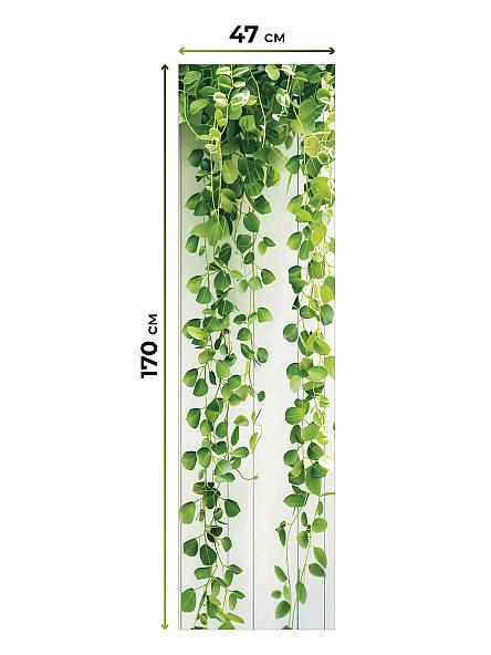 Рулонная штора Ранфрик - 19 - ширина 47 см - фото 5