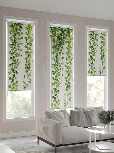 Рулонная штора Ранфрик - 19 - ширина 47 см - фото 6