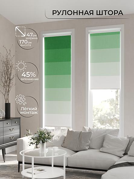 Рулонная штора Ранфрик - 157 - ширина 47 см - фото 2