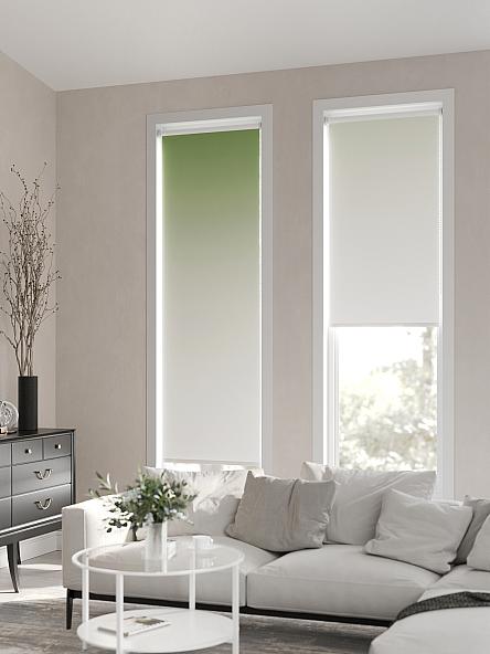 Рулонная штора Ранфрик - 161 - ширина 47 см