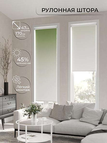 Рулонная штора Ранфрик - 161 - ширина 47 см - фото 2