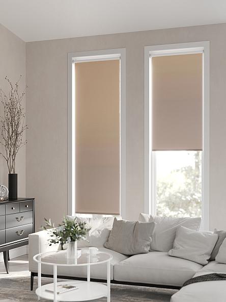 Рулонная штора Ранфрик - 171 - ширина 47 см