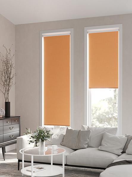 Рулонная штора Ранфрик - 189 - ширина 47 см