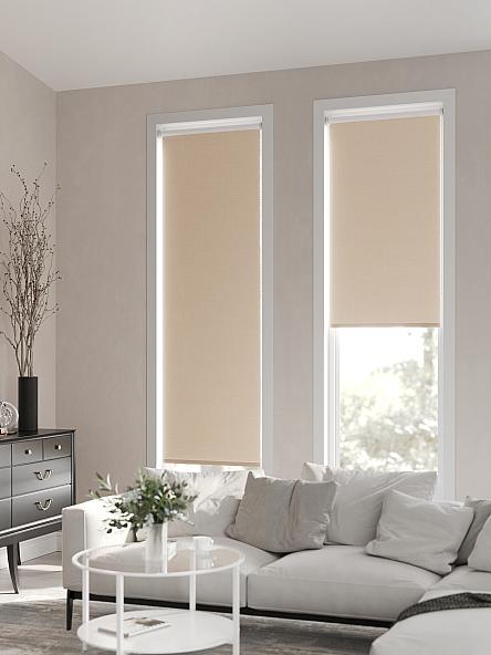 Рулонная штора Ранфрик - 193 - ширина 47 см