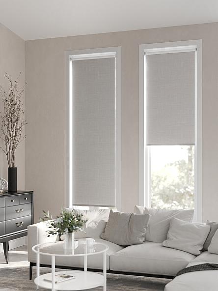 Рулонная штора Ранфрик - 198 - ширина 47 см