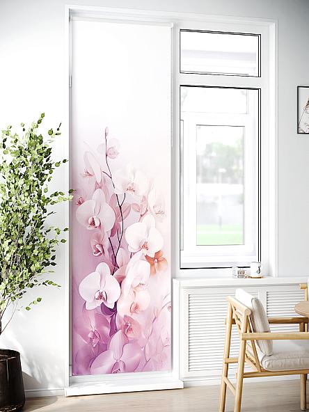 Рулонная штора для кухни для детской Лиритиск - 24 - ширина 68 см - фото 2