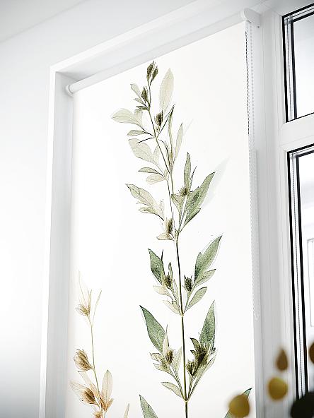 Рулонная штора для кухни для детской Лиритиск - 52 - ширина 68 см - фото 3