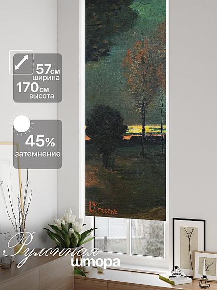 Рулонная штора для кухни для детской Ронлирт - 592 - ширина 57 см