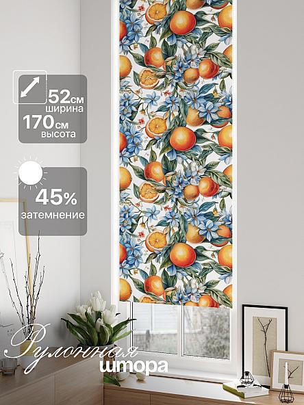 Рулонная штора для кухни для детской Лимкис - 852 - ширина 52 см