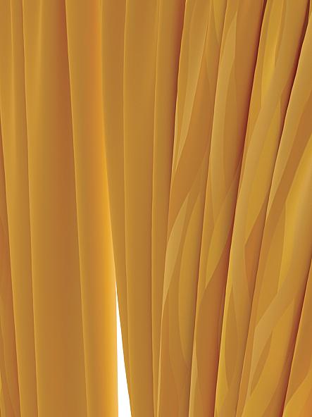 Комплект штор Миссилис (оранж) - фото 3