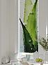 Рулонная штора «Плутея - 425 - ширина 52 см» | фото 2