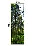 Рулонная штора «Флорко-651 - ширина 57 см, длина 170 см.» | фото 9