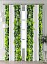 Комплект штор &laquo;Фрилби - 58&raquo | фото 2