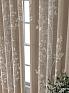 Комплект штор &laquo;Колтери - 27 - 260 см&raquo | фото 3