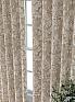 Комплект штор &laquo;Колтери - 289 - 260 см&raquo | фото 3