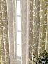 Комплект штор &laquo;Лантерос - 92 - 250 см&raquo | фото 6