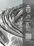 Комплект штор &laquo;Лакрост - 121 - 250 см&raquo | фото 7