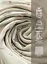 Комплект штор &laquo;Флертон - 391 - 280 см&raquo | фото 6