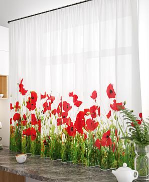 Тюль «Паймерас»