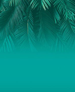 Портьера «Эдеминья (бирюзовый)» | фото 3