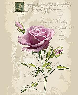 Комплект штор «Элоиза»