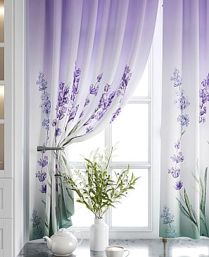 Комплект штор «Элипонри»