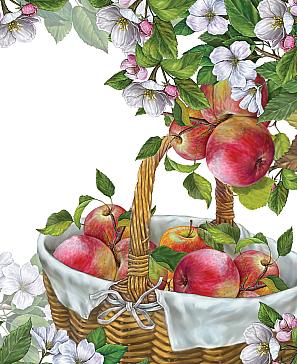 Комплект штор «Апкинс»