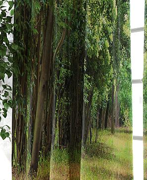 Комплект фотоштор «Фиронвис» | фото 2